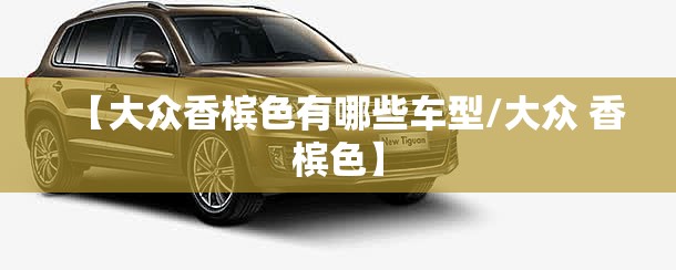【大众香槟色有哪些车型/大众 香槟色】