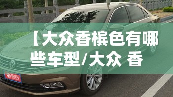 【大众香槟色有哪些车型/大众 香槟色】