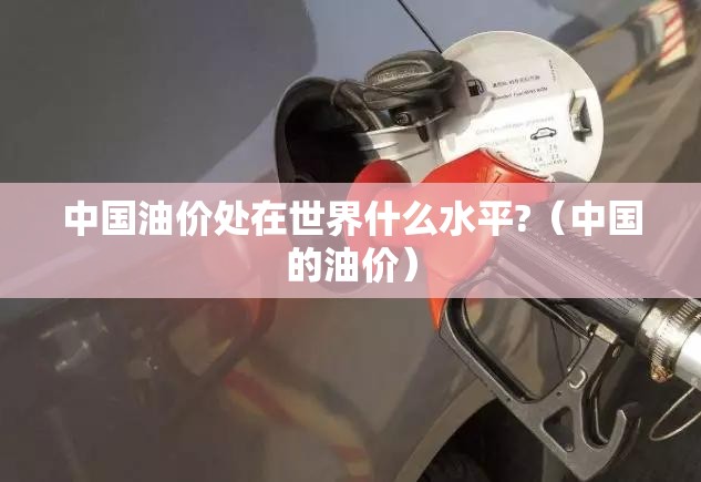 中国油价处在世界什么水平?（中国的油价）