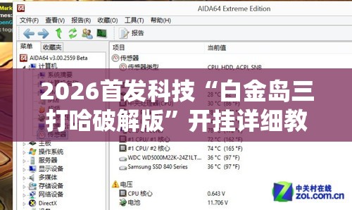 2026首发科技“白金岛三打哈破解版”开挂详细教程