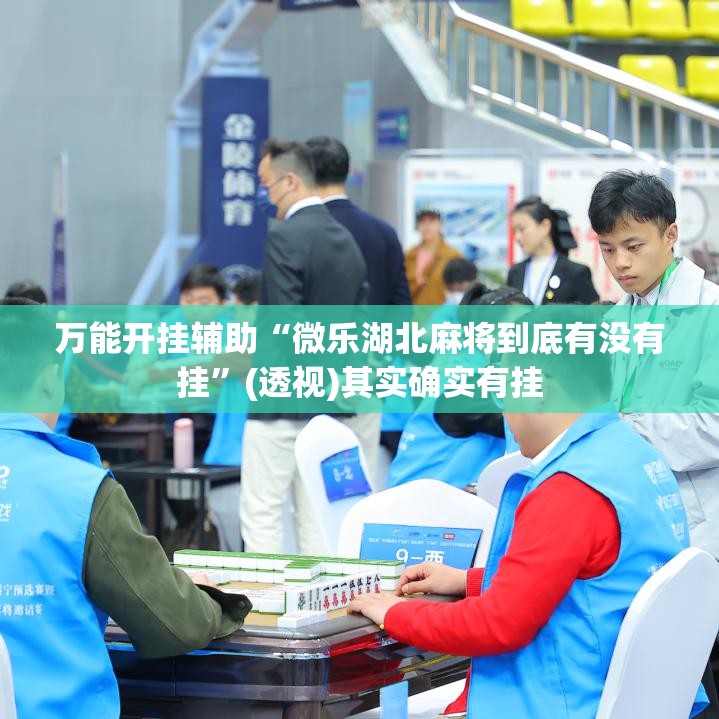 万能开挂辅助“微乐湖北麻将到底有没有挂	”(透视)其实确实有挂