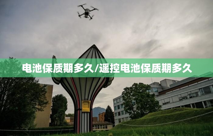 电池保质期多久/遥控电池保质期多久