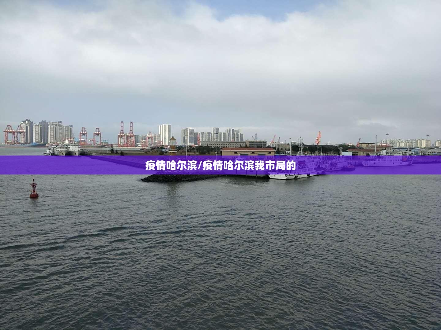 疫情哈尔滨/疫情哈尔滨我市局的