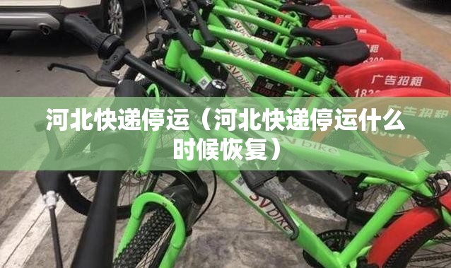 河北快递停运（河北快递停运什么时候恢复）