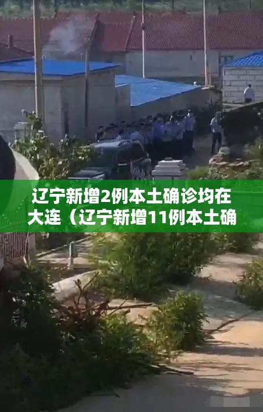 辽宁新增2例本土确诊均在大连（辽宁新增11例本土确诊病例均在大连）