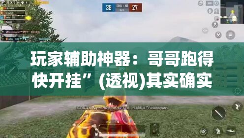 玩家辅助神器：哥哥跑得快开挂	”(透视)其实确实有挂