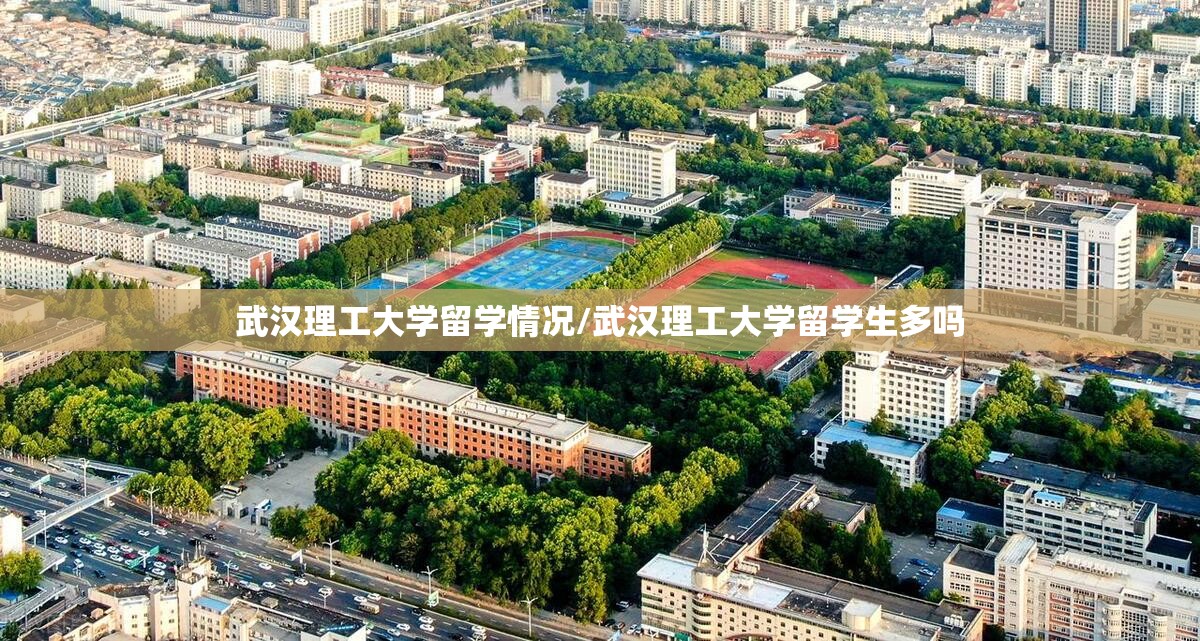 武汉理工大学留学情况/武汉理工大学留学生多吗 武汉理工大学留学情况/武汉理工大学留学生多吗