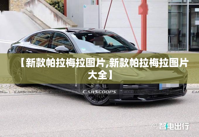【新款帕拉梅拉图片,新款帕拉梅拉图片大全】