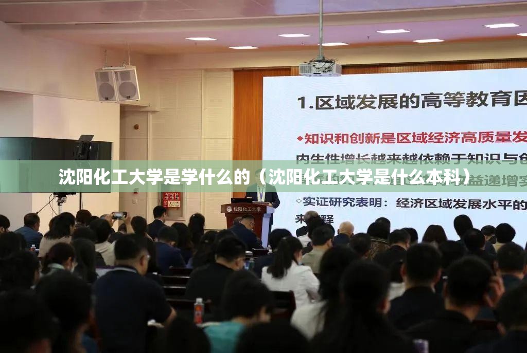 沈阳化工大学是学什么的（沈阳化工大学是什么本科）