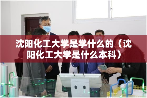 沈阳化工大学是学什么的（沈阳化工大学是什么本科）