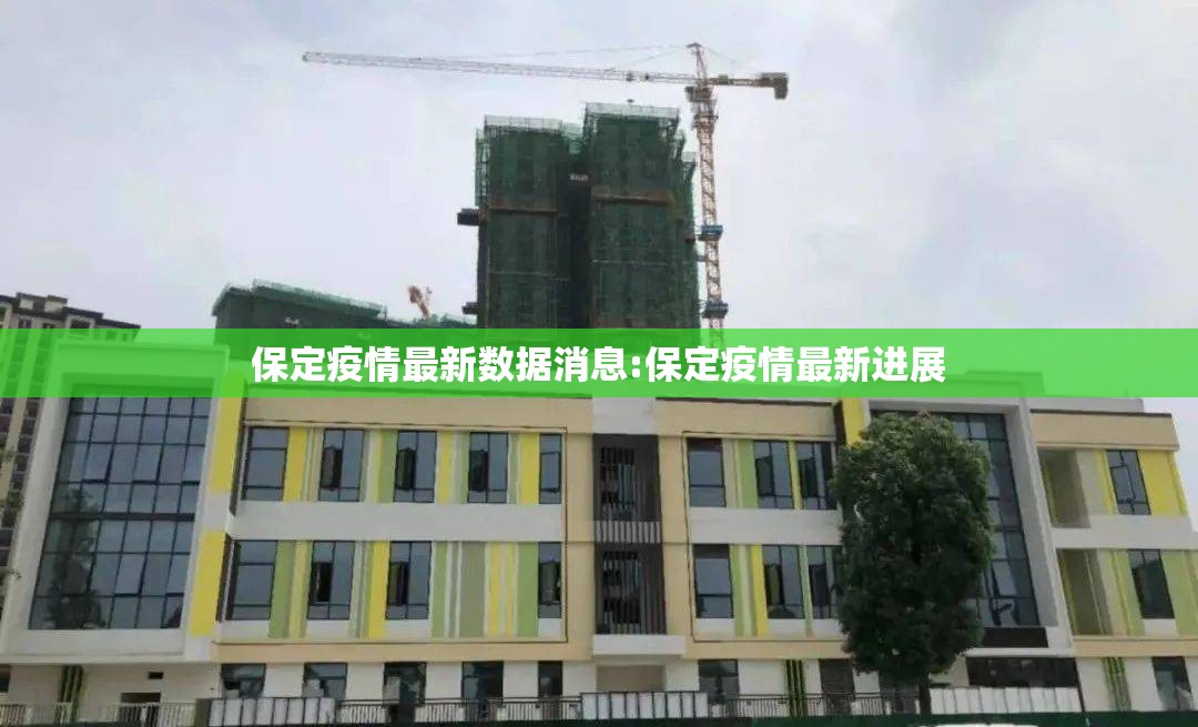 保定疫情最新数据消息:保定疫情最新进展