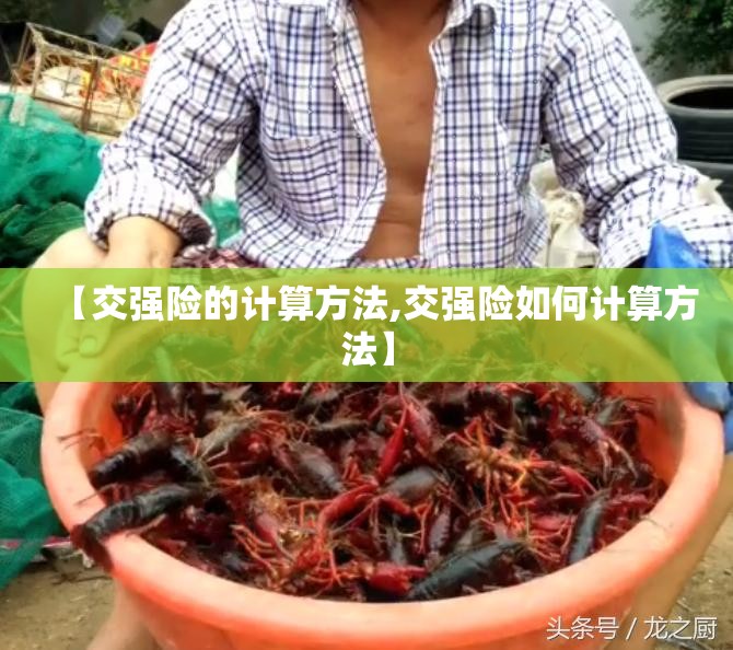 【交强险的计算方法,交强险如何计算方法】 【交强险的计算方法,交强险如何计算方法】