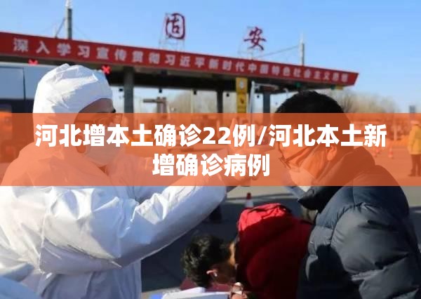 河北增本土确诊22例/河北本土新增确诊病例