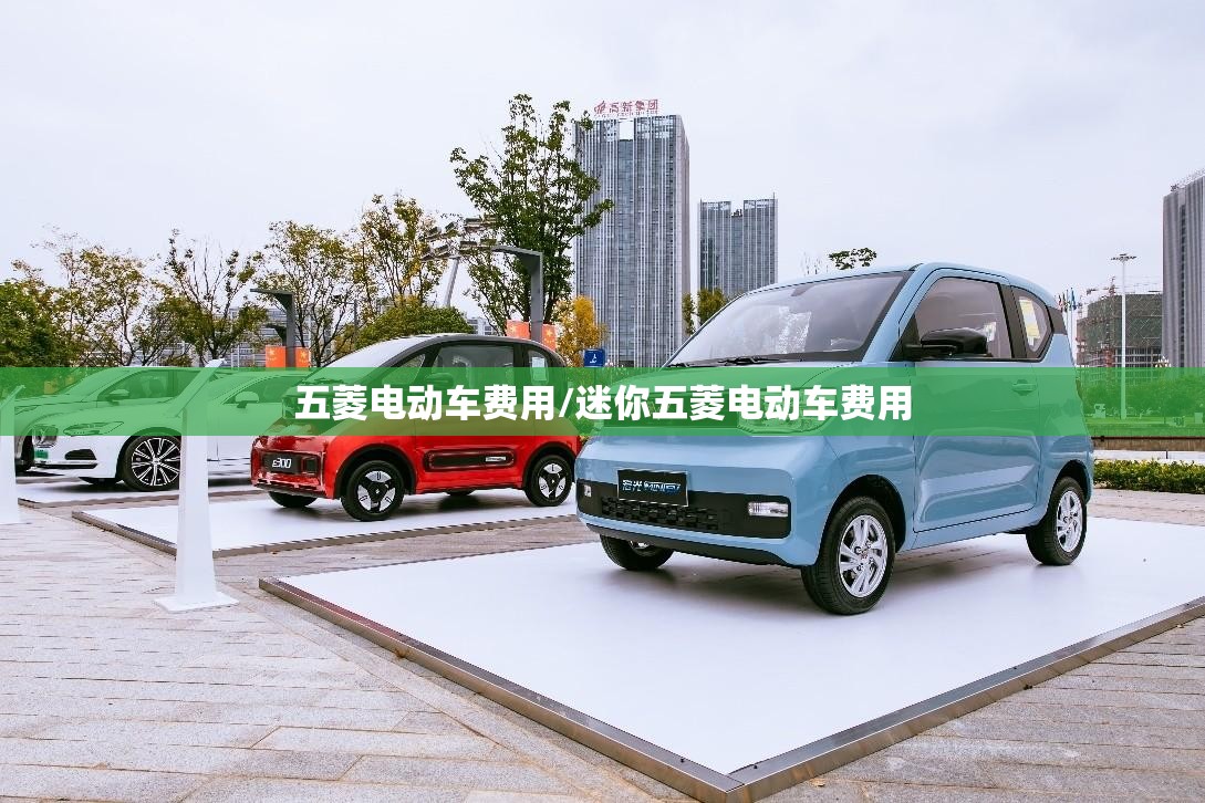 五菱电动车费用/迷你五菱电动车费用