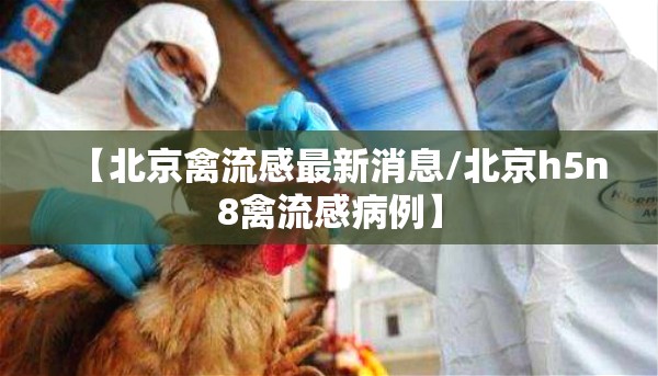 【北京禽流感最新消息/北京h5n8禽流感病例】 【北京禽流感最新消息/北京h5n8禽流感病例】