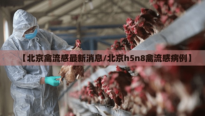 【北京禽流感最新消息/北京h5n8禽流感病例】 【北京禽流感最新消息/北京h5n8禽流感病例】