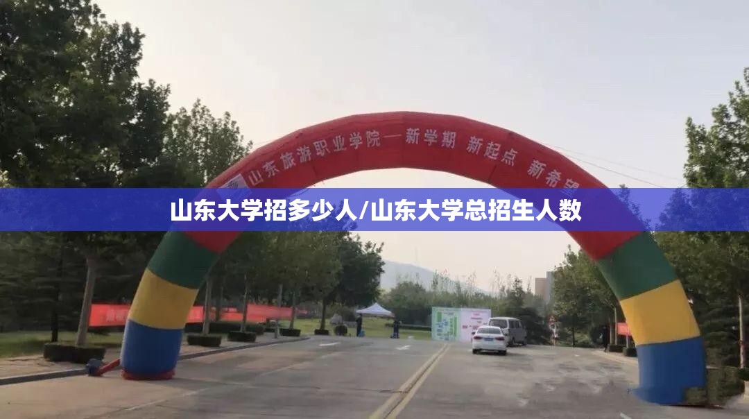 山东大学招多少人/山东大学总招生人数 山东大学招多少人/山东大学总招生人数