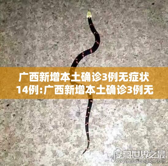 广西新增本土确诊3例无症状14例:广西新增本土确诊3例无症状14例是哪里的 广西新增本土确诊3例无症状14例:广西新增本土确诊3例无症状14例是哪里的