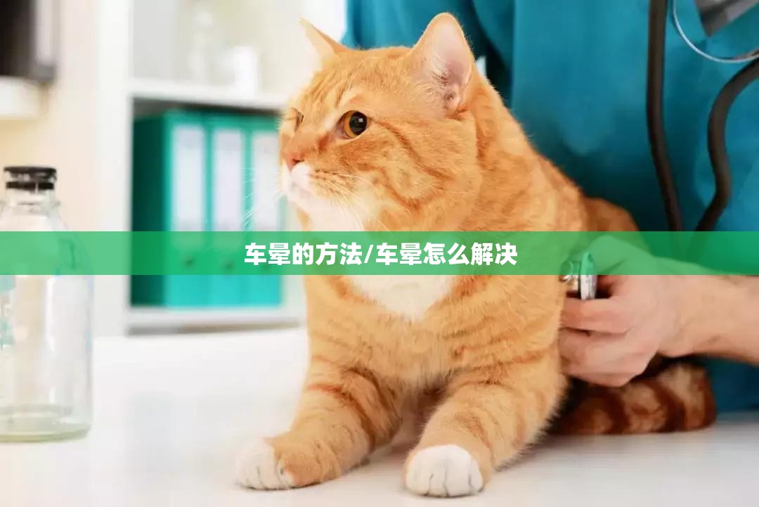 车晕的方法/车晕怎么解决 车晕的方法/车晕怎么解决