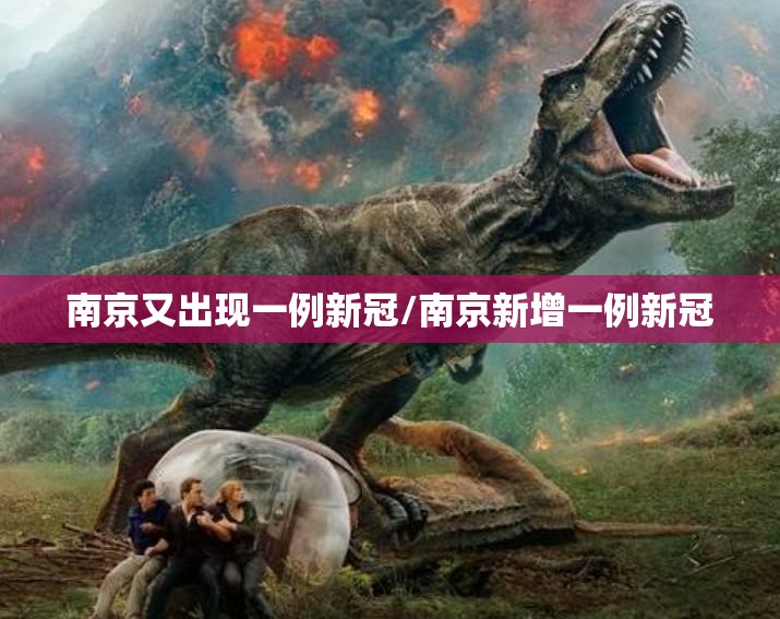 南京又出现一例新冠/南京新增一例新冠 南京又出现一例新冠/南京新增一例新冠