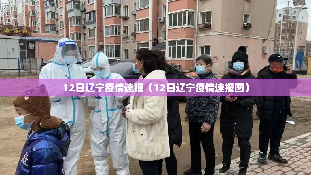 12日辽宁疫情速报(12日辽宁疫情速报图) 12日辽宁疫情速报(12日辽宁疫情速报图)