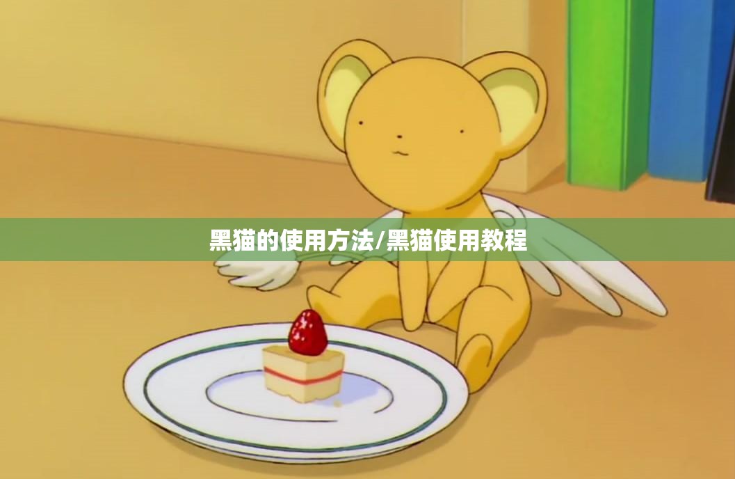 黑猫的使用方法/黑猫使用教程