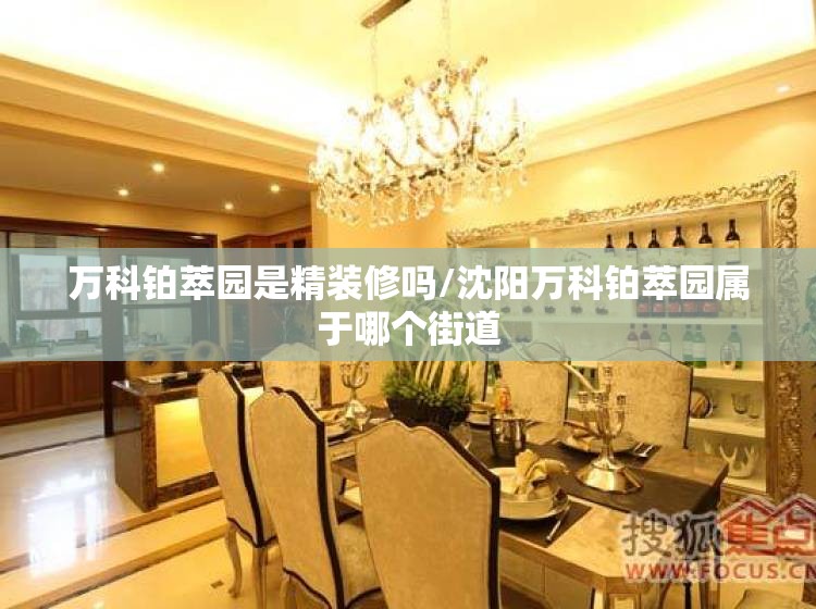 万科铂萃园是精装修吗/沈阳万科铂萃园属于哪个街道
