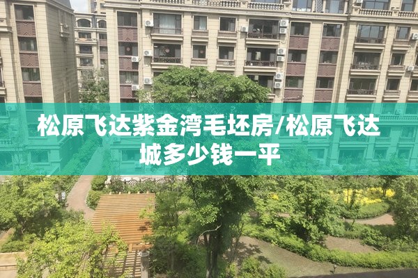 松原飞达紫金湾毛坯房/松原飞达城多少钱一平 松原飞达紫金湾毛坯房/松原飞达城多少钱一平