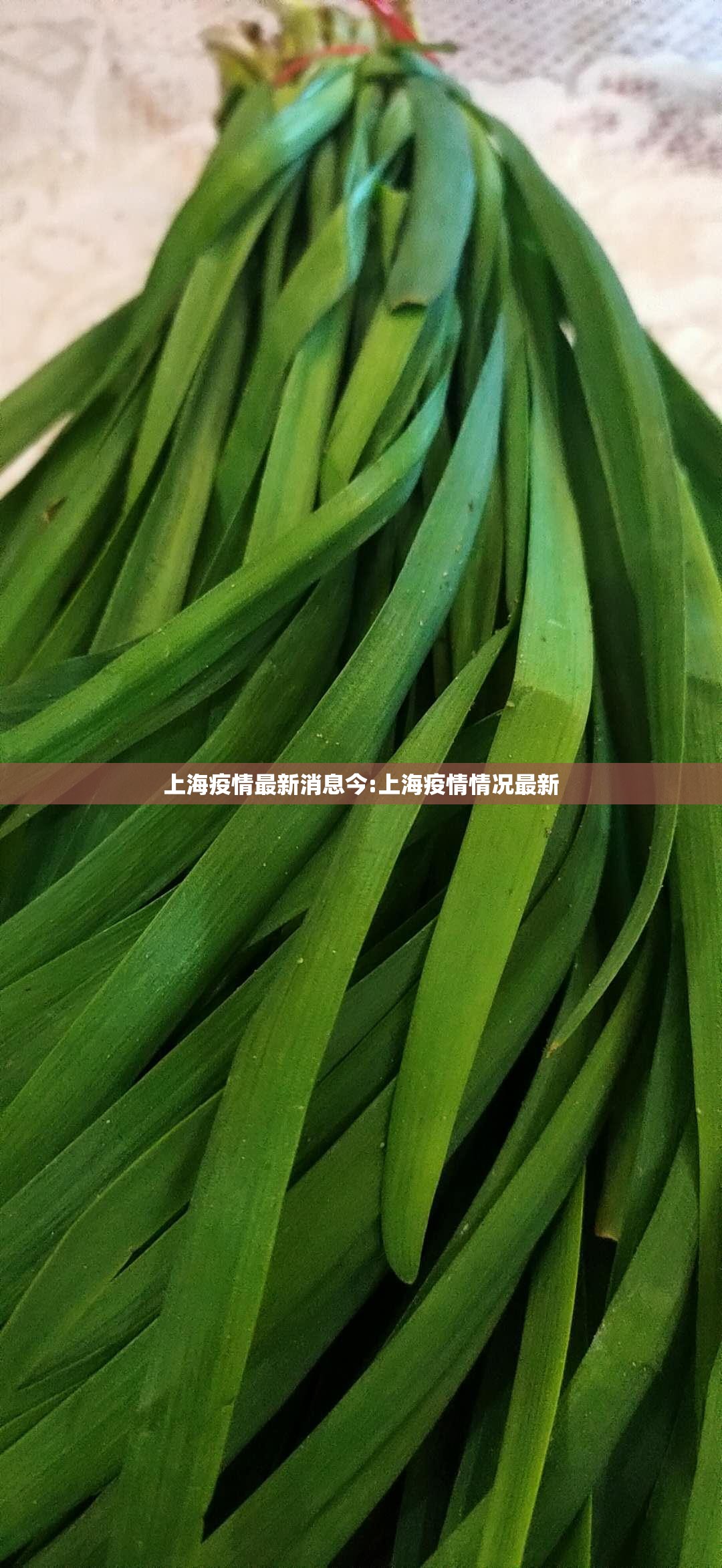 上海疫情最新消息今:上海疫情情况最新