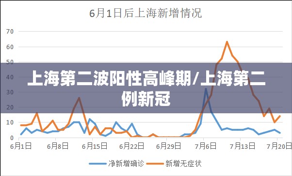 上海第二波阳性高峰期/上海第二例新冠 上海第二波阳性高峰期/上海第二例新冠