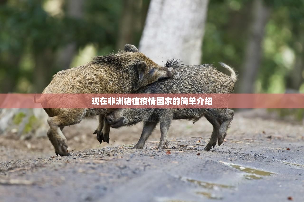 现在非洲猪瘟疫情国家的简单介绍 现在非洲猪瘟疫情国家的简单介绍