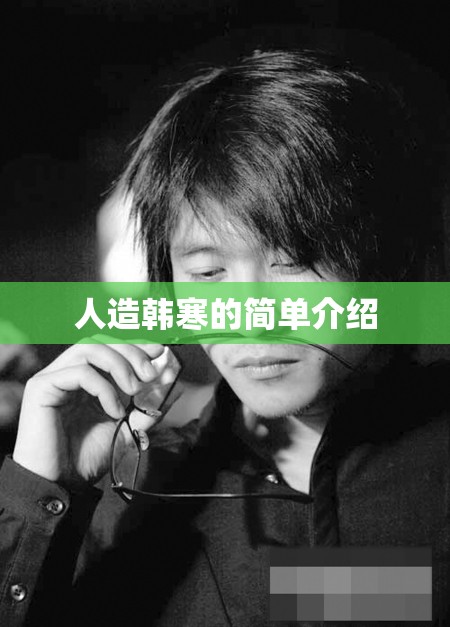 人造韩寒的简单介绍 人造韩寒的简单介绍