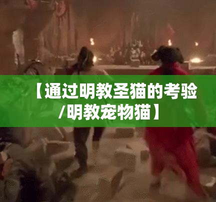 【通过明教圣猫的考验/明教宠物猫】 【通过明教圣猫的考验/明教宠物猫】