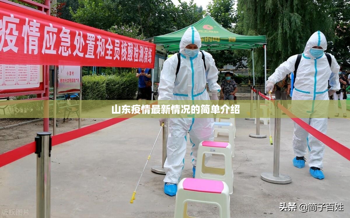 山东疫情最新情况的简单介绍