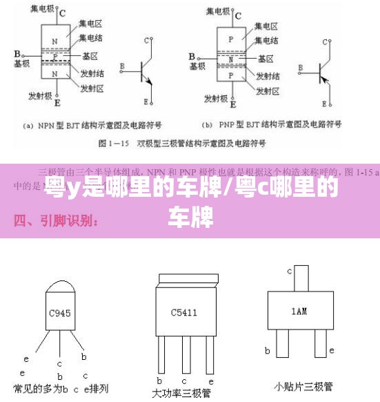 粤y是哪里的车牌/粤c哪里的车牌 粤y是哪里的车牌/粤c哪里的车牌