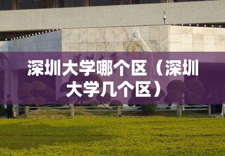 深圳大学哪个区（深圳大学几个区）