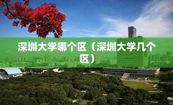 深圳大学哪个区（深圳大学几个区）