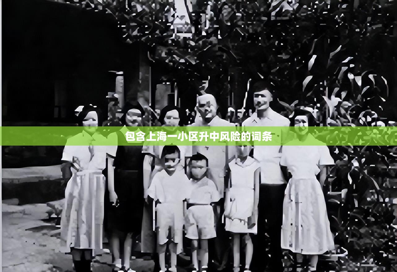 包含上海一小区升中风险的词条