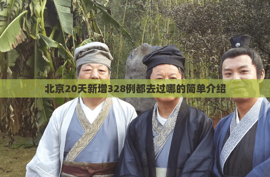 北京20天新增328例都去过哪的简单介绍