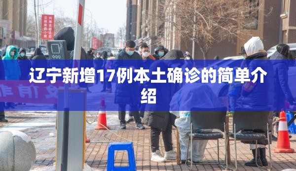 辽宁新增17例本土确诊的简单介绍