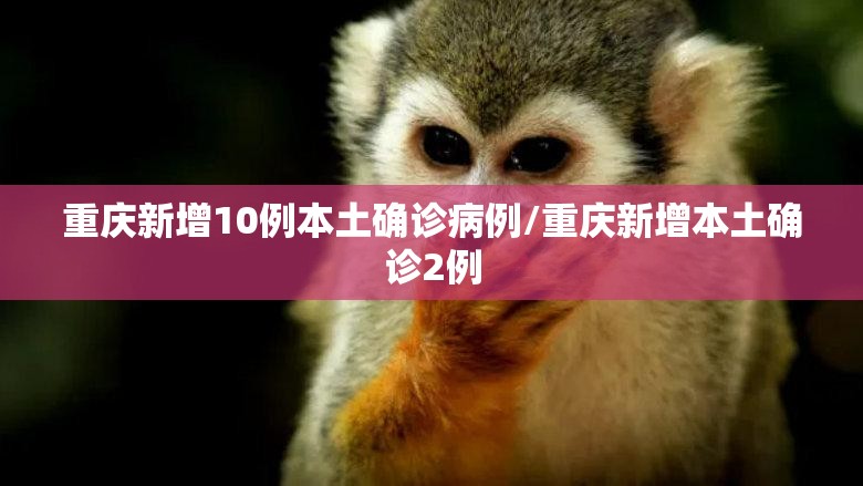 重庆新增10例本土确诊病例/重庆新增本土确诊2例 重庆新增10例本土确诊病例/重庆新增本土确诊2例