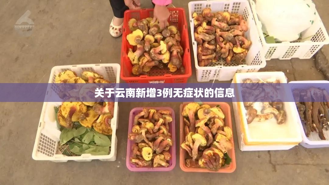 关于云南新增3例无症状的信息 关于云南新增3例无症状的信息