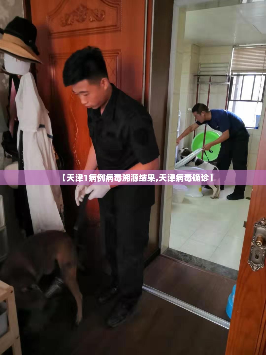 【天津1病例病毒溯源结果,天津病毒确诊】 【天津1病例病毒溯源结果,天津病毒确诊】