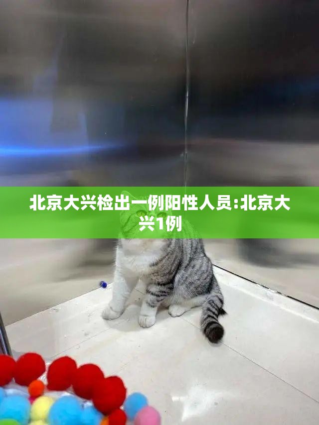 北京大兴检出一例阳性人员:北京大兴1例