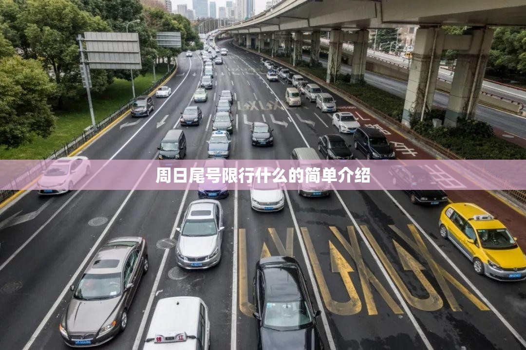 周日尾号限行什么的简单介绍 周日尾号限行什么的简单介绍