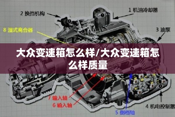 大众变速箱怎么样/大众变速箱怎么样质量 大众变速箱怎么样/大众变速箱怎么样质量