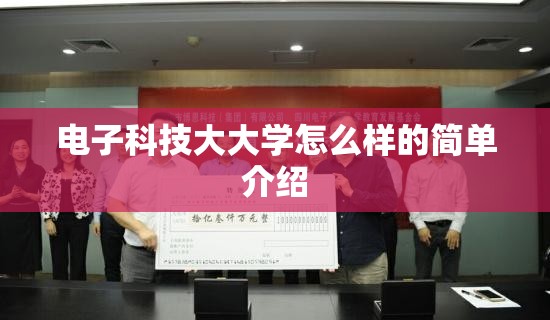 电子科技大大学怎么样的简单介绍 电子科技大大学怎么样的简单介绍