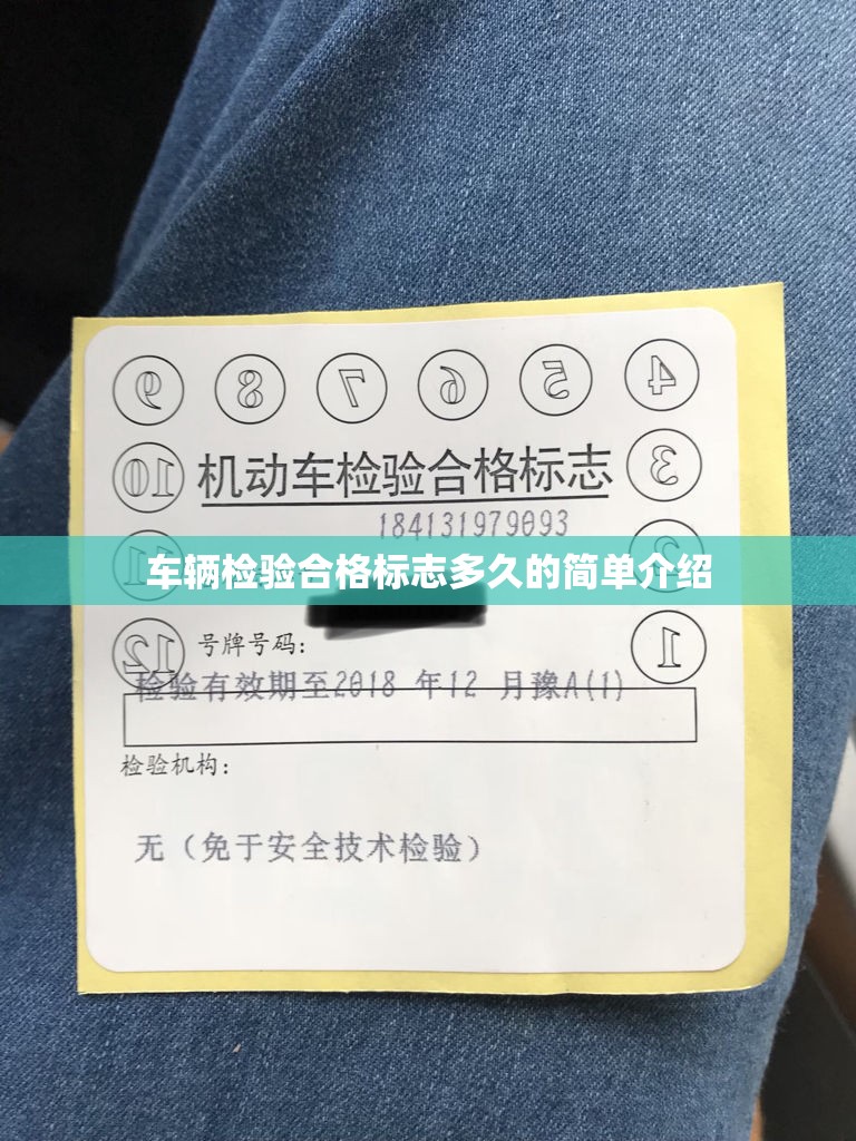 车辆检验合格标志多久的简单介绍