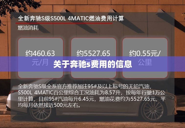 关于奔驰s费用的信息 关于奔驰s费用的信息