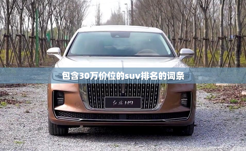 包含30万价位的suv排名的词条 包含30万价位的suv排名的词条